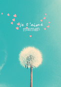Pissenlit et amour pour ma maman